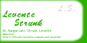 levente strunk business card